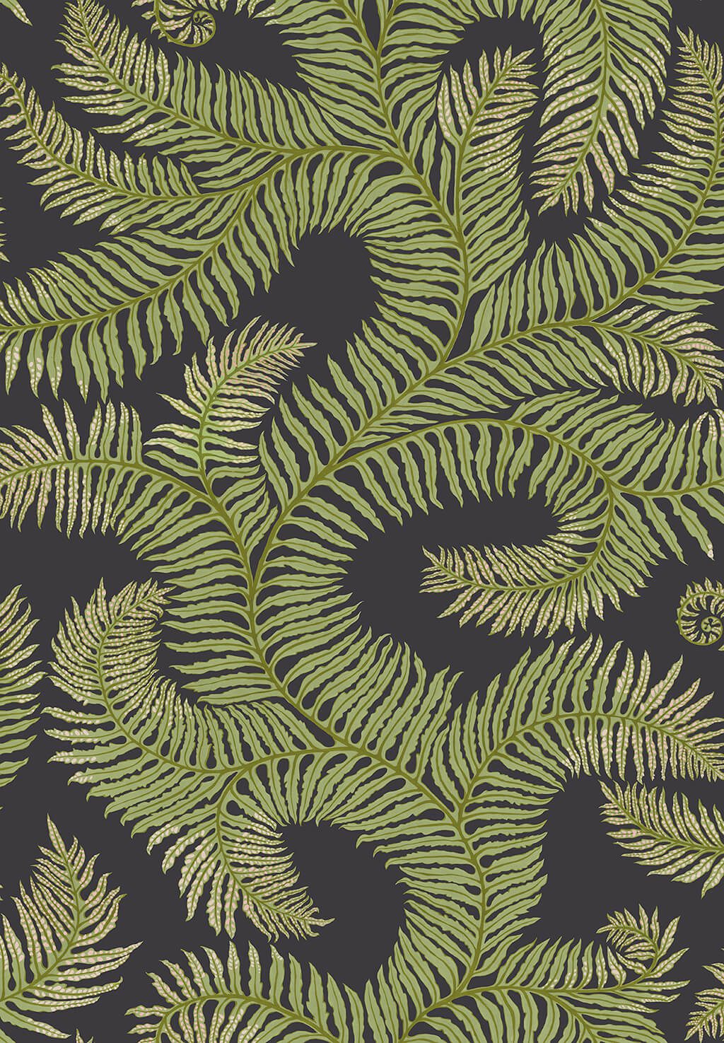 Bombe's Fernery Wallpaper | Dark Grey and Green