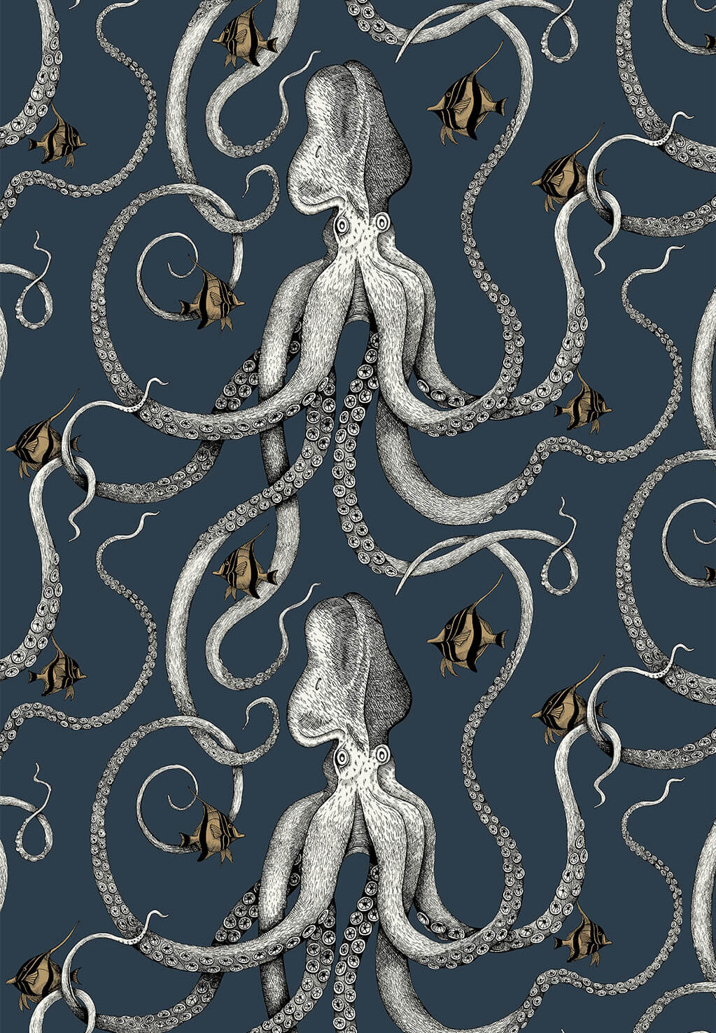Octopus  High Resolution Wallpapers and Images  Desktop Nexus Groups
