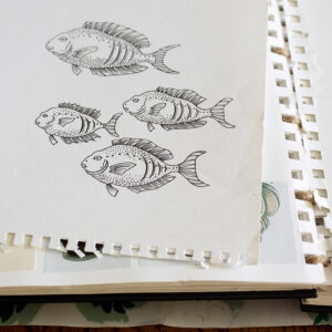 Underwater Jungle Wallpaper Fish Sketch | Josephine Munsey