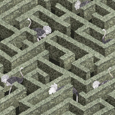 Labyrinth with Ostrich Wallpaper | Eucalyptus
