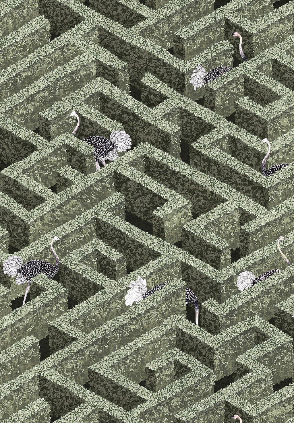 Labyrinth with Ostrich Wallpaper | Eucalyptus
