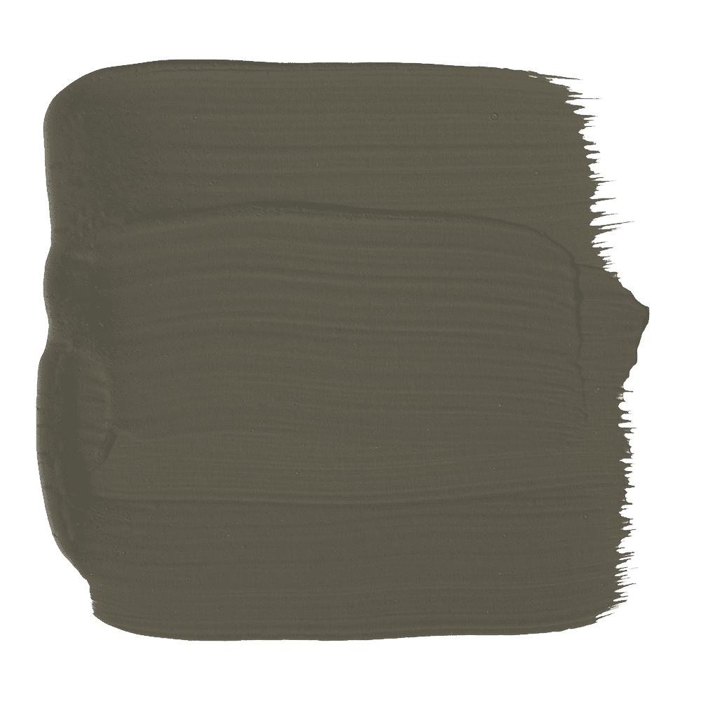 JMP-025 - Kemp Brown Paint Chip
