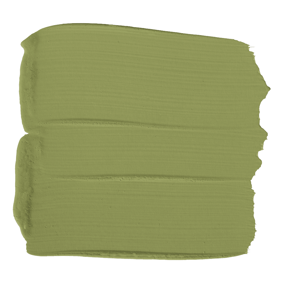 JMP-026 - Meadow Paint Chip