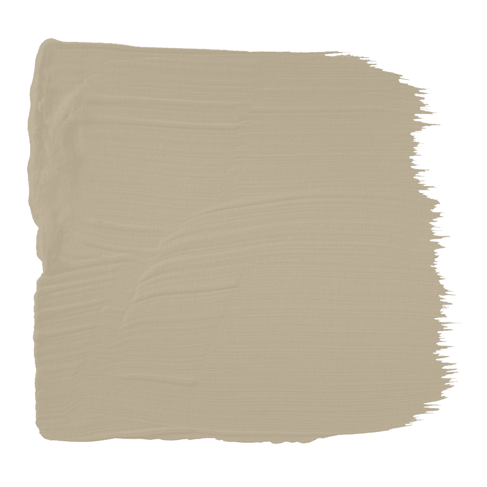 JMP-036 - Stepping Stone Paint Chip
