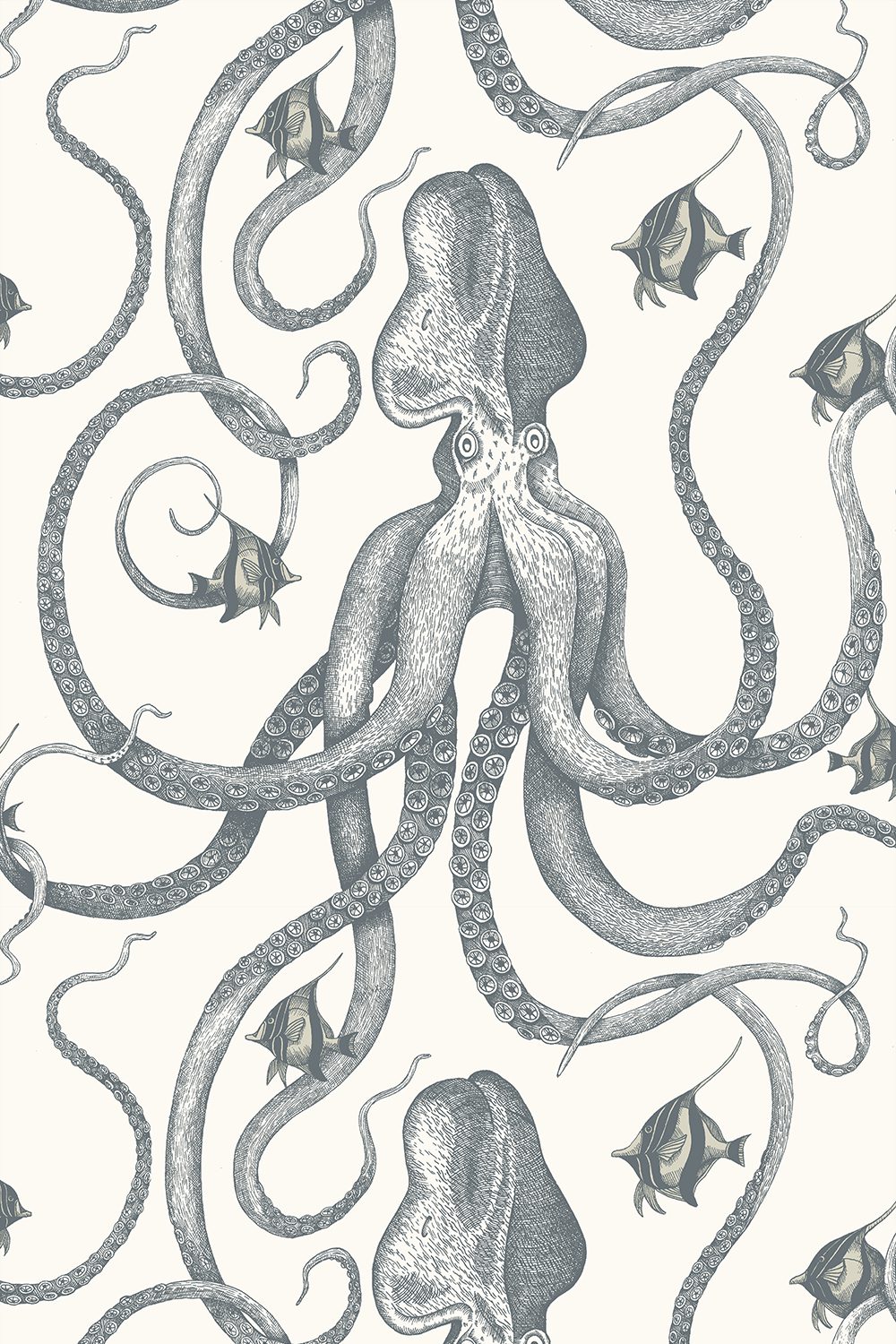 Octopoda Grand Wallpaper | Hilles White