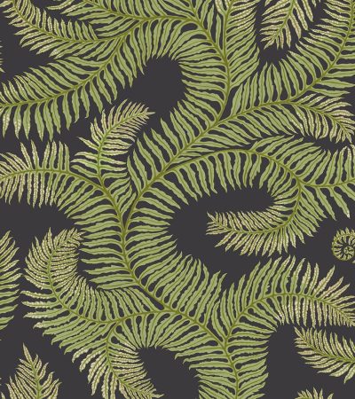 Designer Ferns Wallpaper | Dark Grey & Green