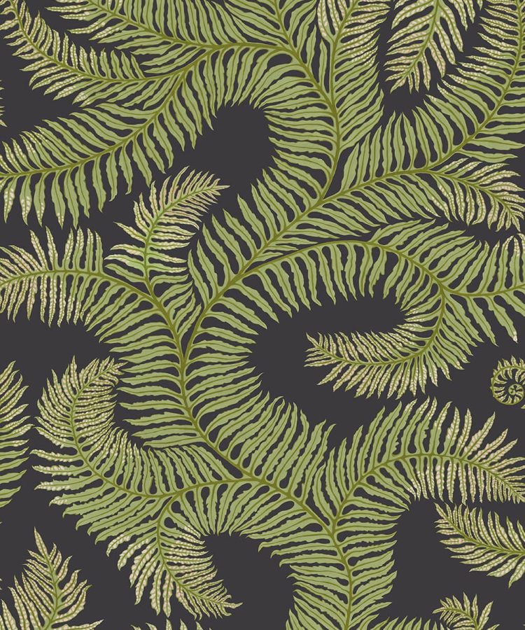 Designer Ferns Wallpaper | Dark Grey & Green
