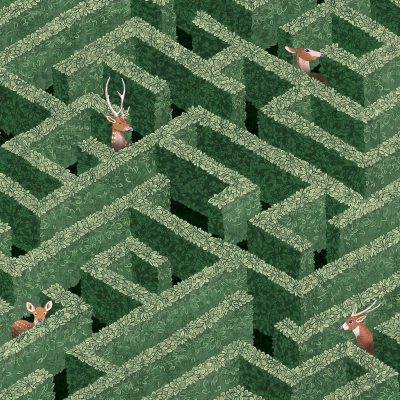 JMW-100901 - Labyrinth with Deer Wallpaper | Green